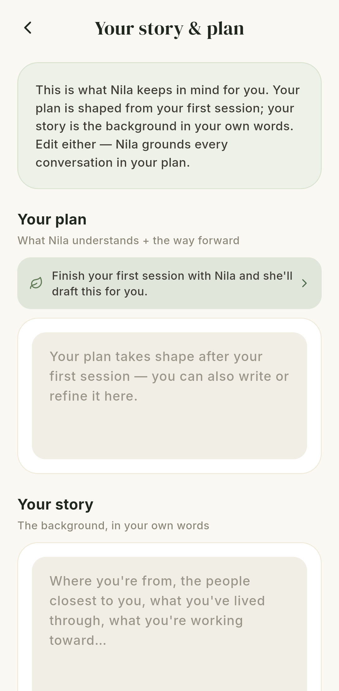 Current Your story and plan screen showing how Nila forms an editable plan after the first session